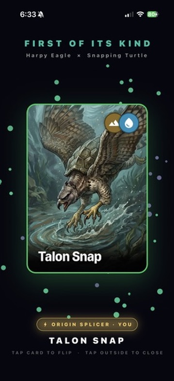 A newly discovered chimera
